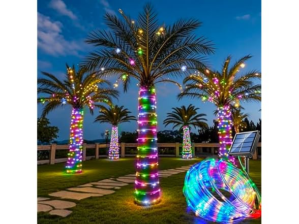 Honche Solar Rope Light 33FT 100L IP65