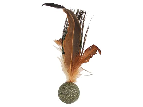 Penn-Plax Compressed Catnip Birdie