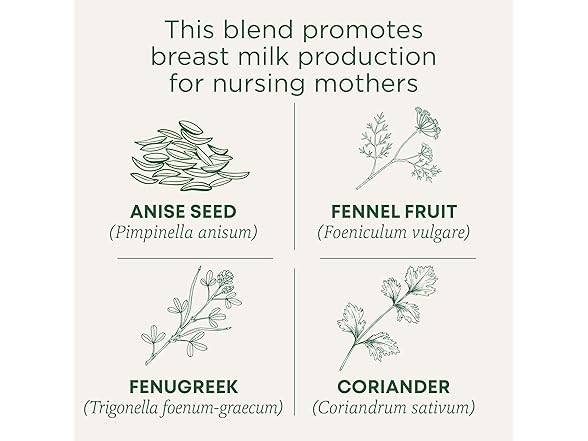 Traditional Medicinals Mother's Milk 16ct