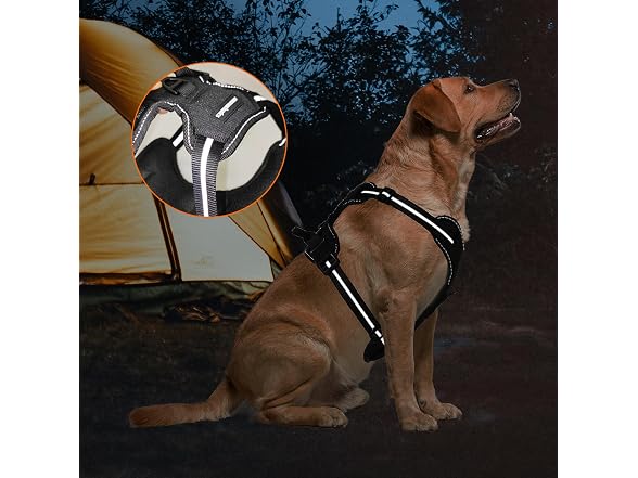 Amazon Basics No-Pull Dog Harness, Soft Padded XL Black