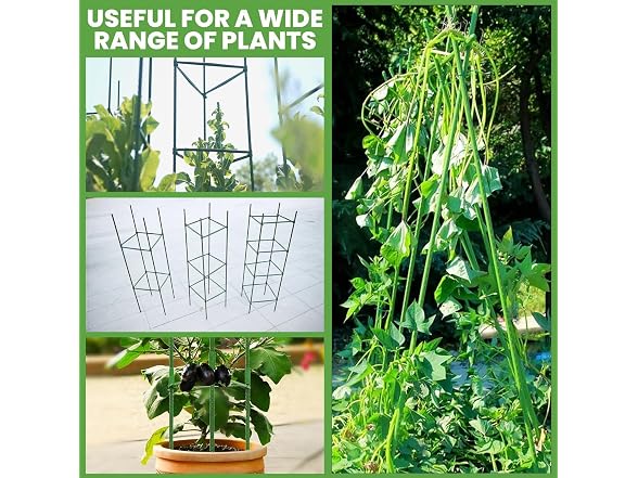 AUTOHAOL 6-Pack 48in Tomato Cage Garden