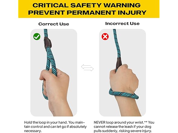 Fida Durable Slip Lead Dog Leash, 6 FT