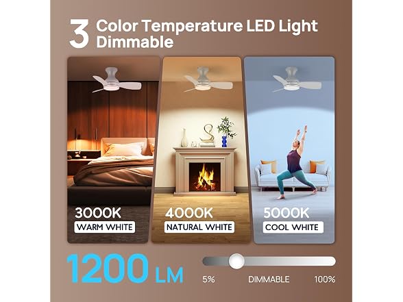 Consciot Ceiling Fan With Lights 30 Inch