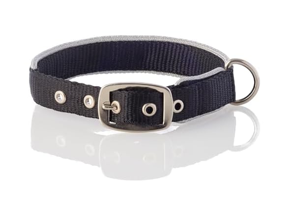 Pet Passion Silver Trimmed Dog Collar