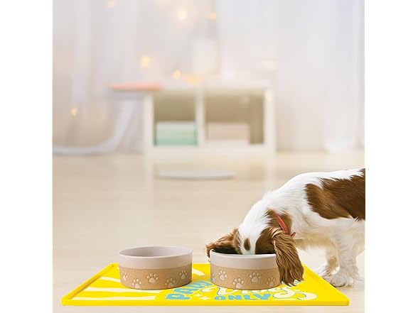 BigMouth Inc Pawsitve Vibes Pet Placemat