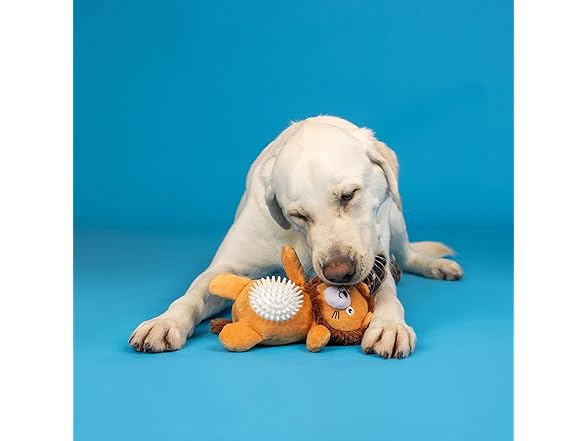 Fringe Studio Plush Dog Toy, CAN’T BE Tamed