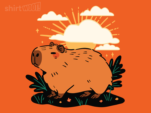 Capy Sunrise