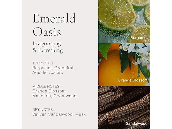 CLEAN H2EAU Emerald Oasis