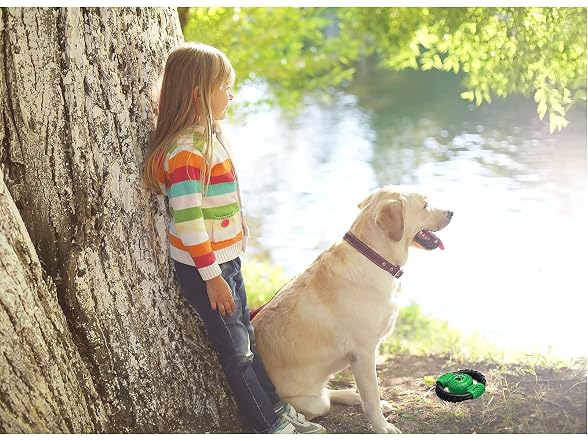 CSDKFCG Squeaky Dog Toys,Steering Wheel Shape
