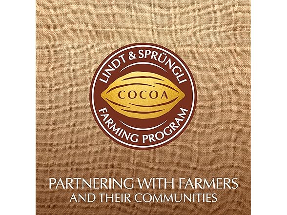 1CT Lindt 95% Cocoa Excellence Bar, 3.5 oz.