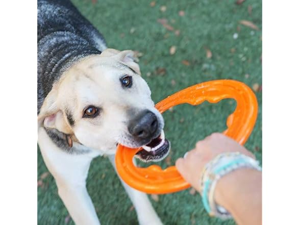 BIONIC Toss-N-Tug Turbo Dog Toy