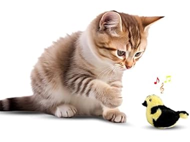 $4.99 SPOT Song Birds Cat Toy- Touch Activated dealfomo
