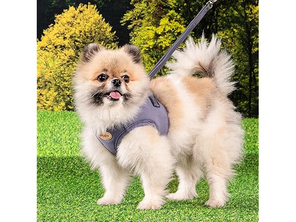 Puppia Eco Dog Harness Q Eco-Friendly No Pull Comfort