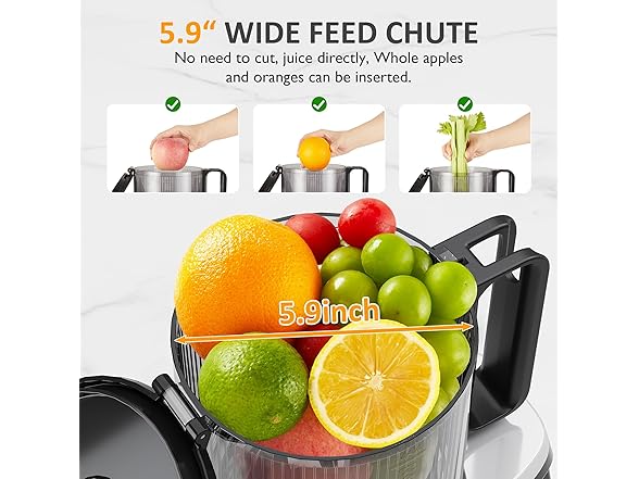 SUNVIVI Cold Press Juicer