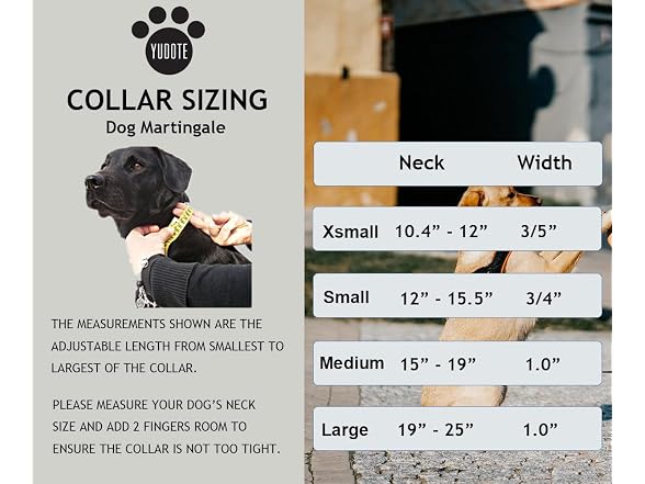 Reflective Martingale Collar for Dogs with Q