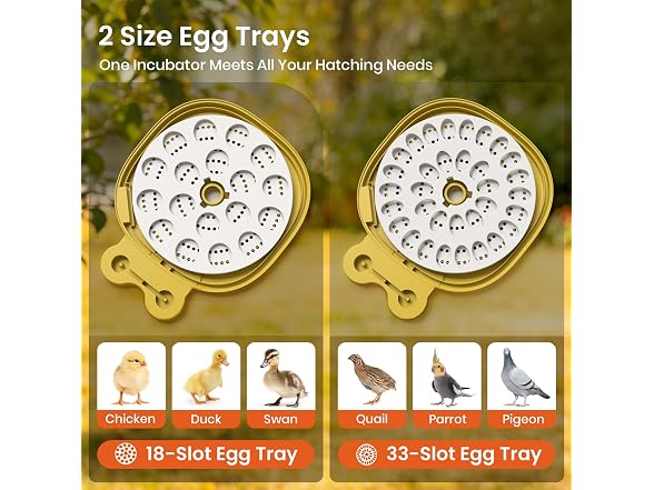 Egg Incubators For Hatching Eggs