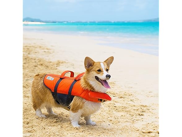 Outward Hound Granby Splash Orange Dog Life Jacket, XL