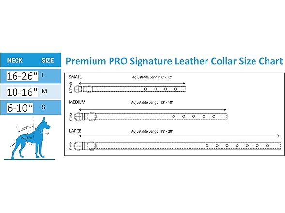 COWBOYS Premium Dog Collar (L)