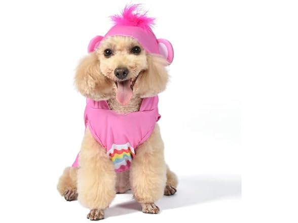 Cheer Bear