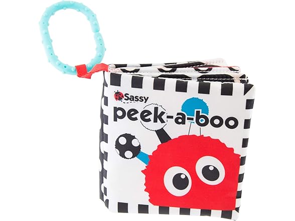 Sassy Peek-a-Boo Activity On-the-Go Book