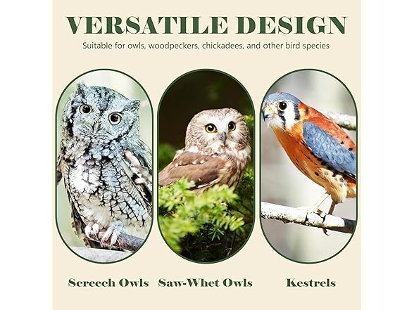 Owl Nesting Box, 9 Inches