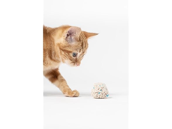 pidan Tofu Cat Litter with Occult Blood Test