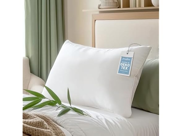 Aveallore Bamboo Viscose Pillow