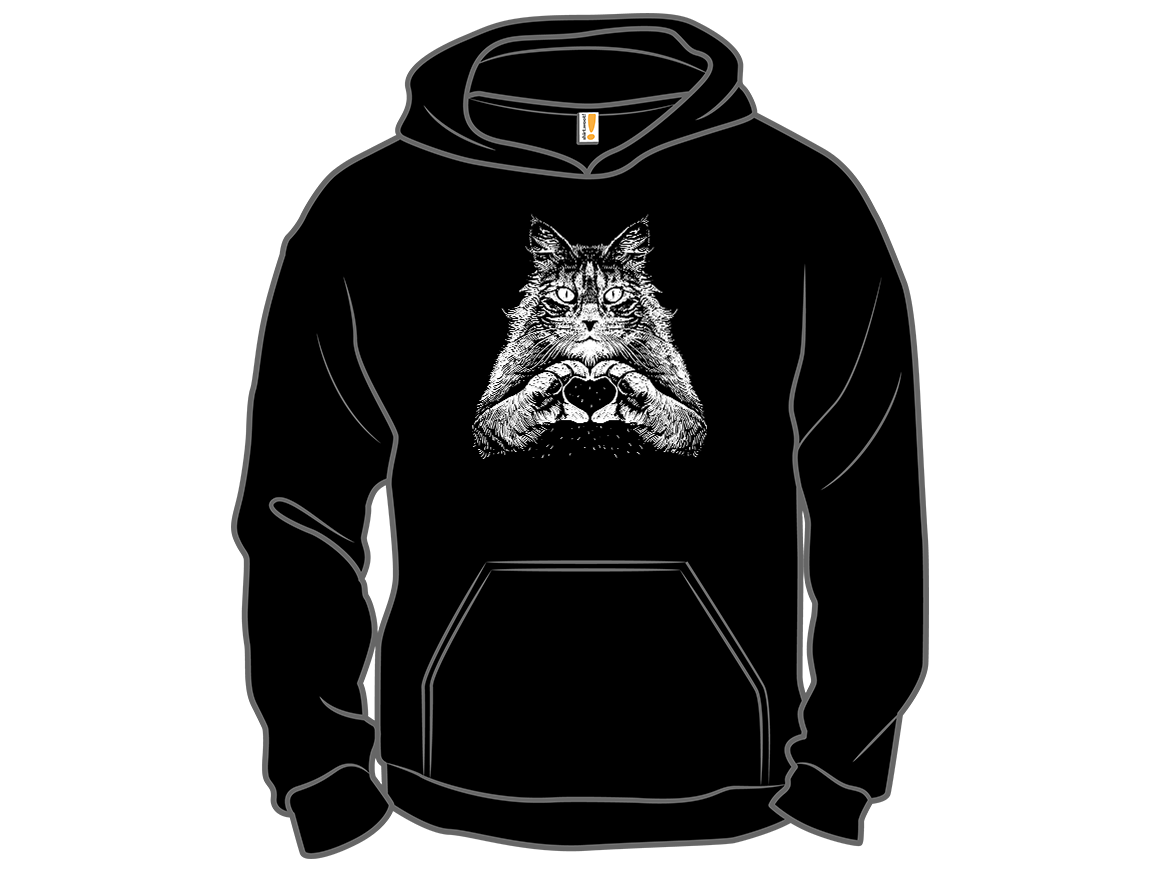 Maine Coon Affection - Gallery 12