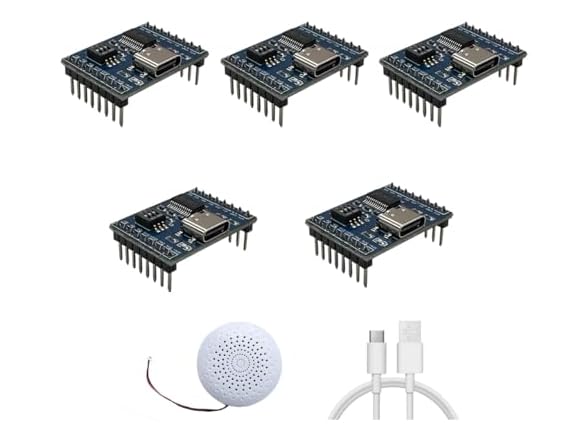 XLW Voice Playback Module