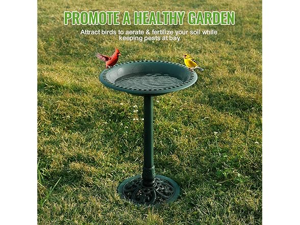 Backyard Expressions Outdoor Garden Bird Bath