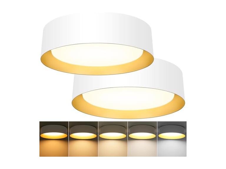 BrightHome B0FT8LSNYM 16in Modern Ceiling Light