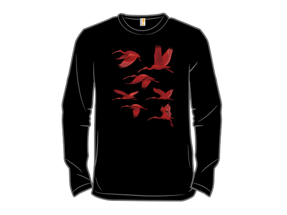 Flock of Flamingos