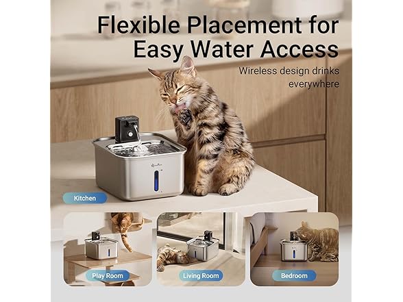 DownyPaws Stainless Steel Water Fountain