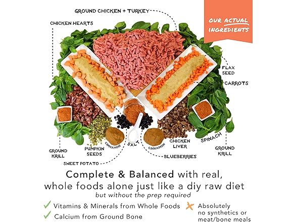 Simple Food Project - Chicken & Turkey - Freeze Dried Raw