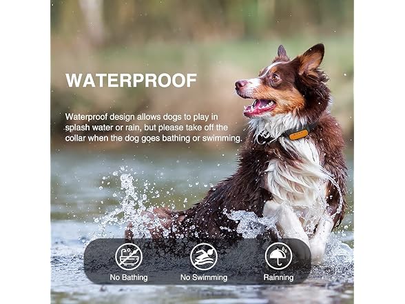 Citronella Dog Collar, Auto Spray Citronella