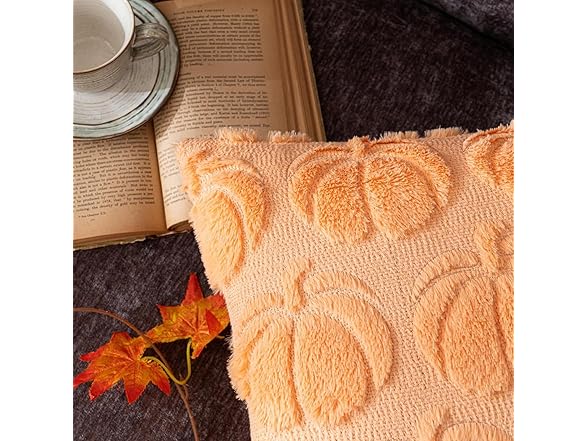Pumpkin Fall Decorative Throw Pillow Covers