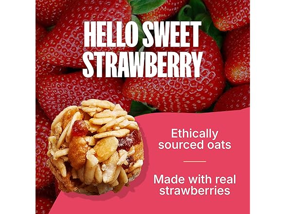5CT MadeGood Organic Strawberry Granola Bites