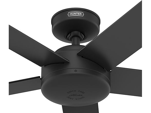 Hunter Fan 52" Ceiling Fan w/ Remote