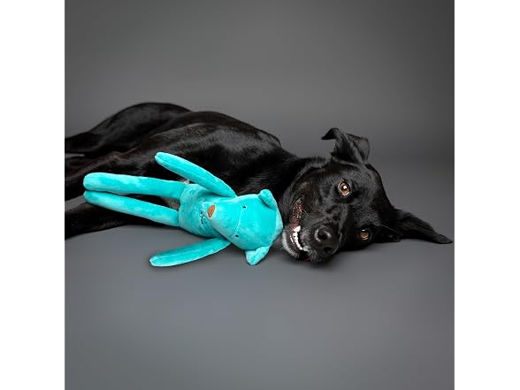NOAH & PAW Luxury Dog Toy Basket Set
