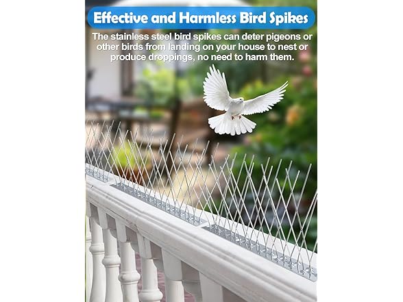 Bird Spikes with Stainless Steel Base