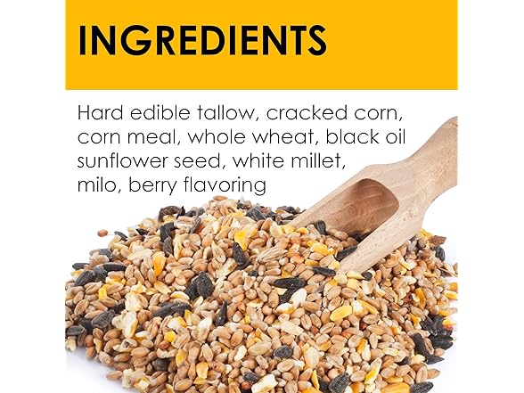 Berry All Season No Mess Suet Cake Birders Pack