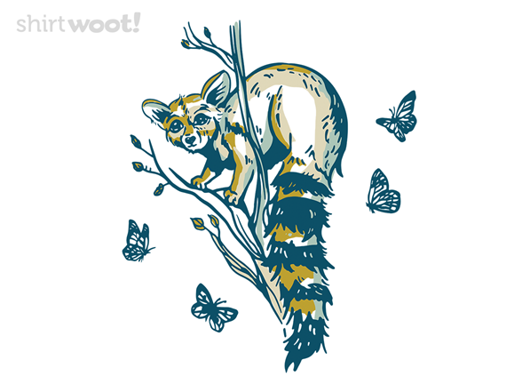 Ringtail Cat