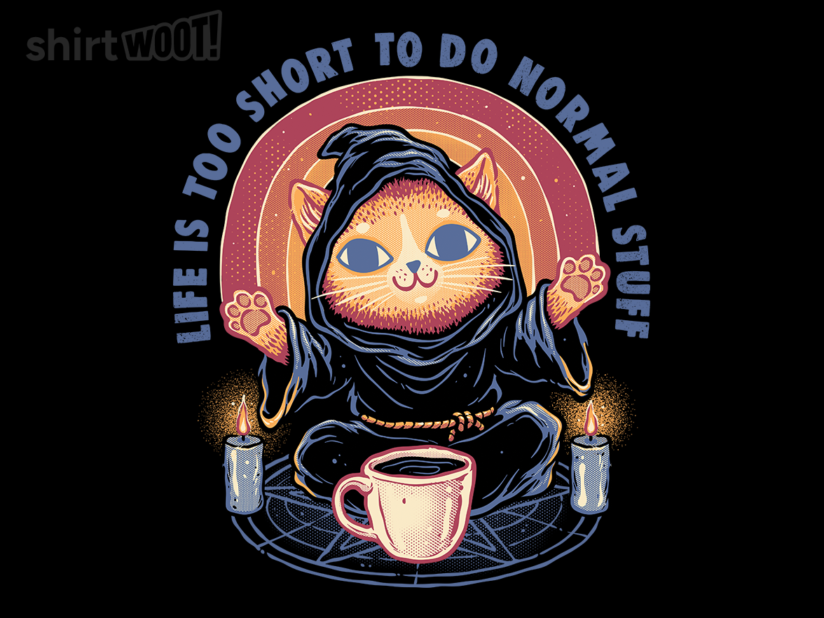 Life Is Too Short to Do Normal Stuff - Gallery 9