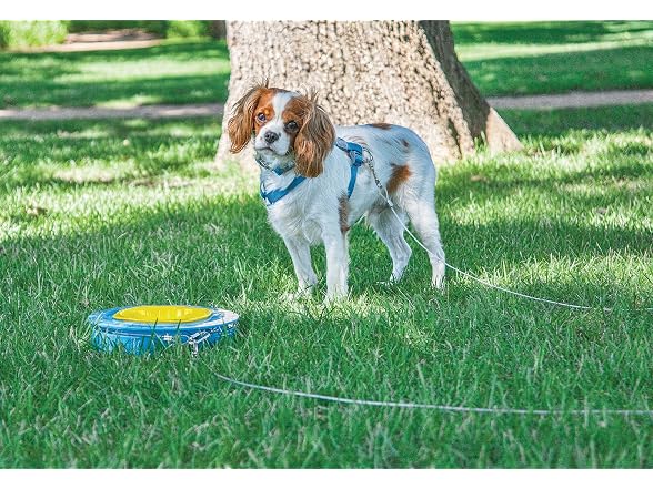 Petmate Aspen Pet Stay-a-Round Bowl (00784)