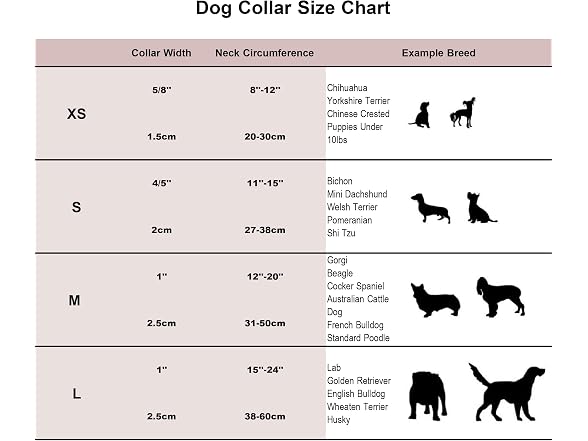 Free Sunday Dog Collar with Bow, Hotdog Dog Bowtie