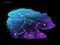Cosmic Bear