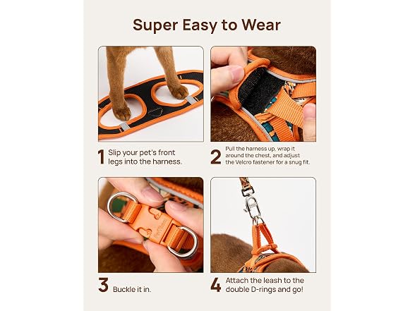 PetThem Cat Harness and Leash Set - Gallery 2