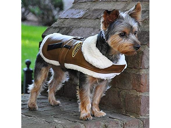 DOGGIE DESIGN Brown and Black Faux Leather B