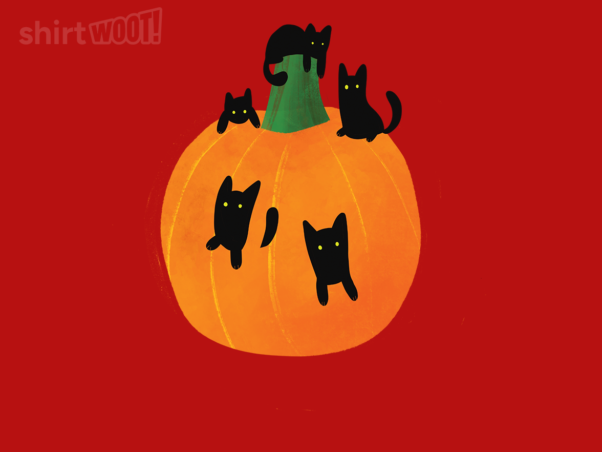 Pumpkin Kitties - Gallery 6