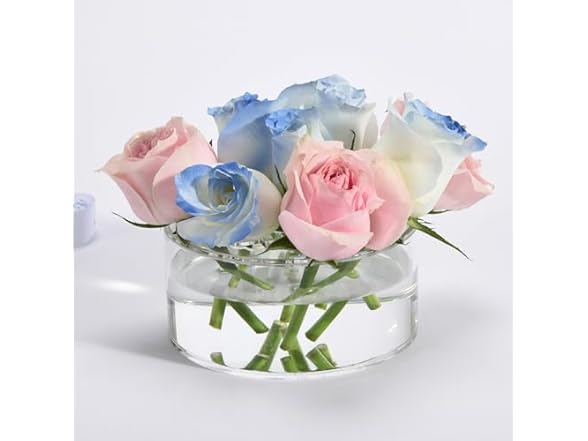 TOMTREE Clear Acrylic Low-Profile Cylinder Vase,